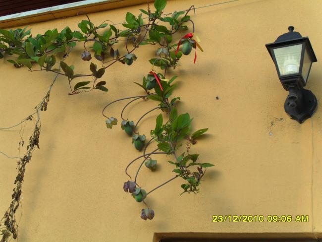 Name:  150-2.jpg
Views: 456
Size:  43.5 KB