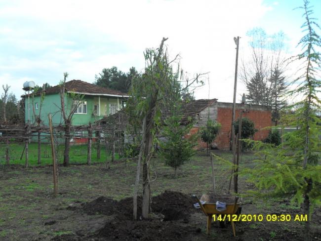 Name:  001.jpg
Views: 420
Size:  53.1 KB