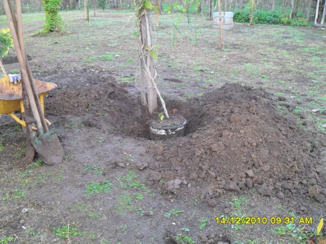 Name:  005.jpg
Views: 453
Size:  69.8 KB