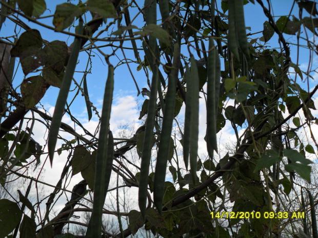 Name:  012.jpg
Views: 463
Size:  72.3 KB