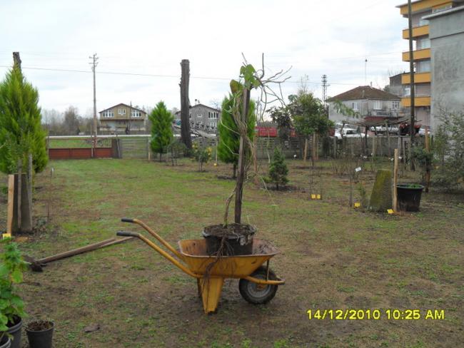Name:  031.jpg
Views: 431
Size:  52.6 KB