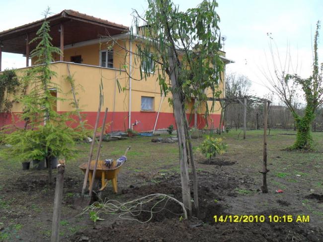 Name:  028.jpg
Views: 416
Size:  62.4 KB
