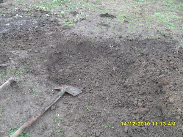 Name:  042.jpg
Views: 442
Size:  70.6 KB