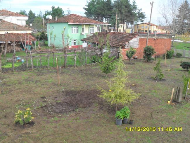Name:  047.jpg
Views: 441
Size:  64.1 KB