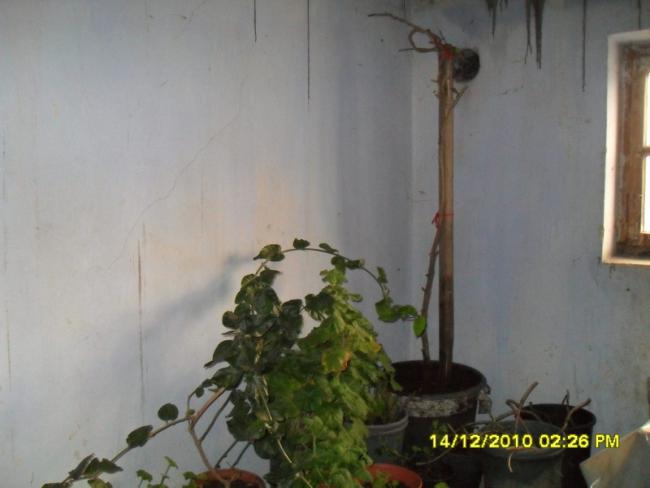 Name:  070.jpg
Views: 419
Size:  29.1 KB