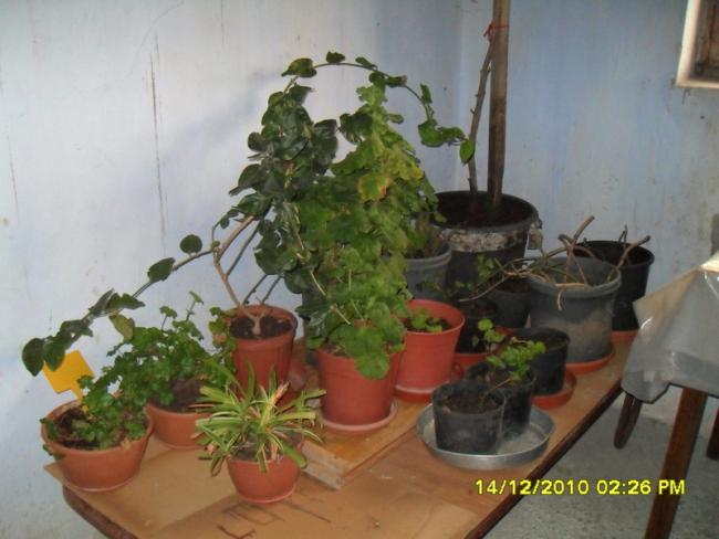 Name:  069.jpg
Views: 420
Size:  39.6 KB