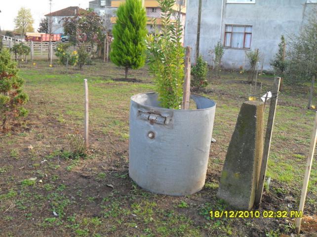 Name:  002.jpg
Views: 424
Size:  70.9 KB