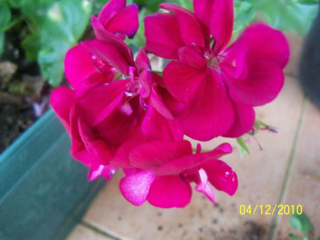 Name:  100_1460.jpg
Views: 514
Size:  33.6 KB