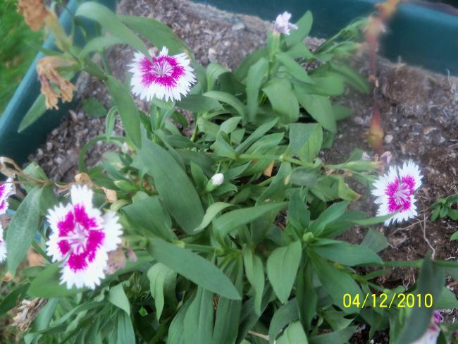 Name:  100_1478.jpg
Views: 513
Size:  54.9 KB