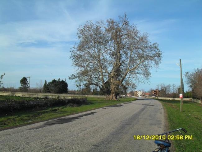 Name:  014.jpg
Views: 402
Size:  47.8 KB