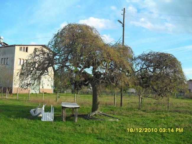 Name:  032.jpg
Views: 413
Size:  65.9 KB
