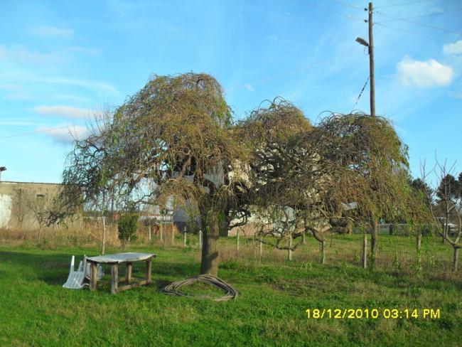 Name:  033.jpg
Views: 414
Size:  60.6 KB