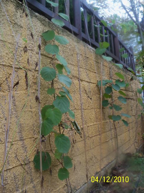 Name:  100_1433.jpg
Views: 474
Size:  72.0 KB