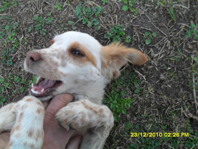 Name:  346.jpg
Views: 423
Size:  58.7 KB