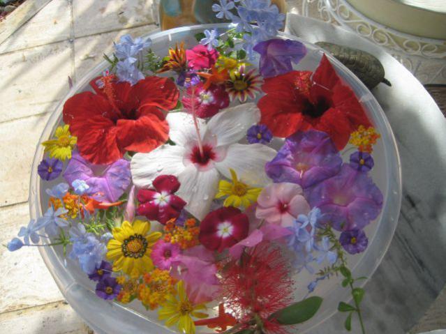 Name:  IMG_302 (1).jpg
Views: 396
Size:  51.0 KB
