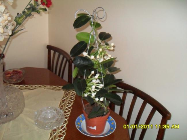 Name:  025.jpg
Views: 488
Size:  35.3 KB