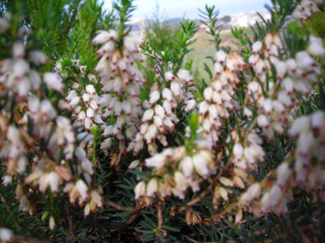 Name:  DSCN4123.jpg
Views: 509
Size:  54.0 KB