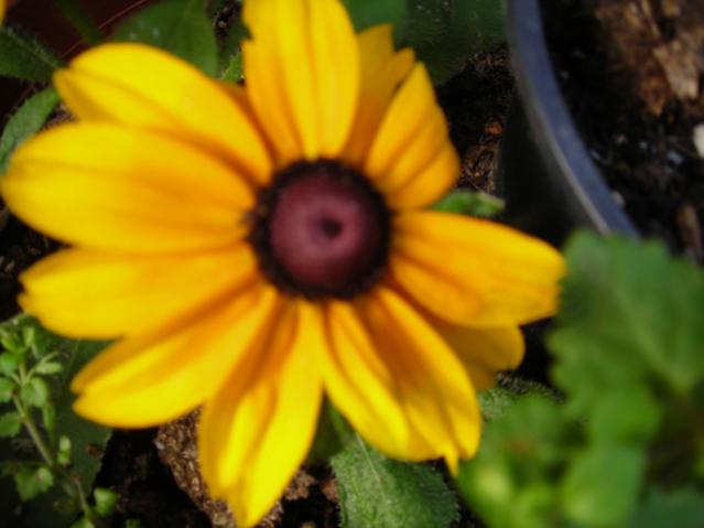 Name:  DSCN4129.jpg
Views: 446
Size:  30.6 KB