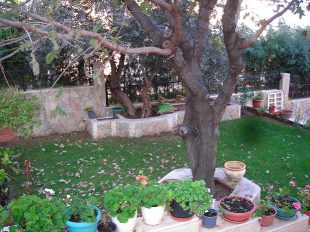 Name:  DSCN4138.jpg
Views: 535
Size:  67.3 KB