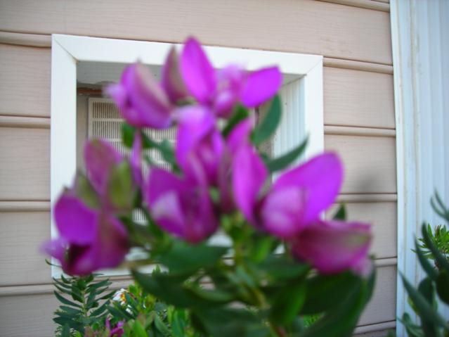 Name:  DSCN4160.jpg
Views: 495
Size:  32.3 KB