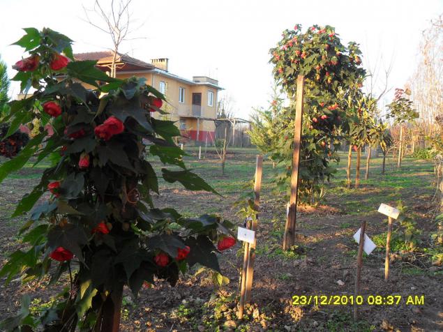 Name:  014.jpg
Views: 678
Size:  70.7 KB
