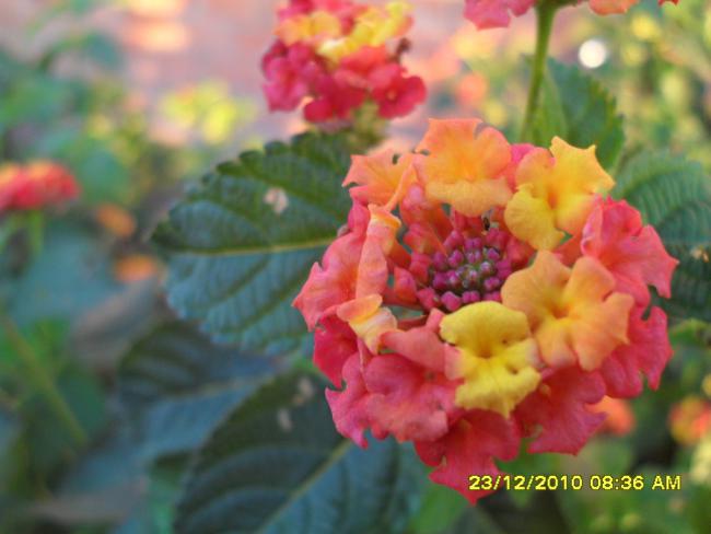 Name:  010.jpg
Views: 638
Size:  34.9 KB