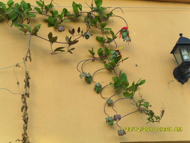 Name:  147.jpg
Views: 646
Size:  44.1 KB