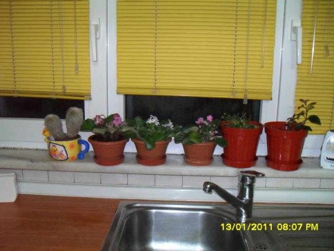 Name:  002.jpg
Views: 658
Size:  41.9 KB