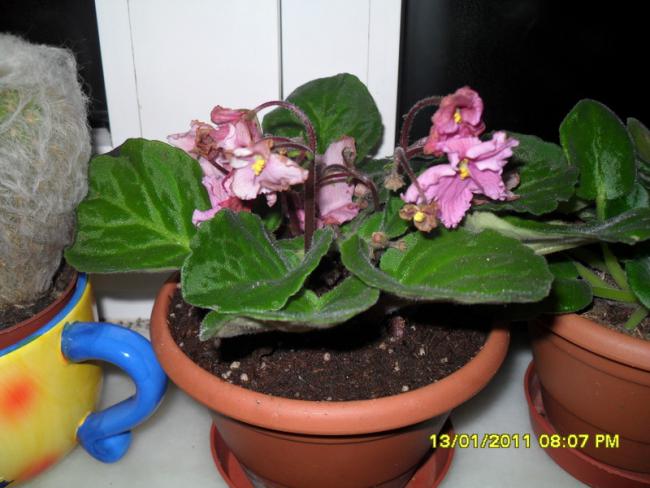 Name:  004.jpg
Views: 690
Size:  45.5 KB