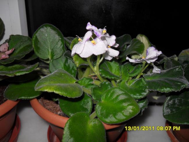 Name:  005.jpg
Views: 631
Size:  42.4 KB