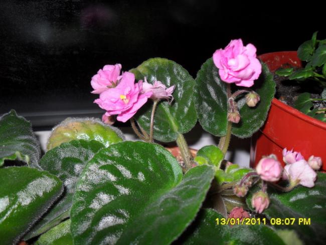 Name:  007.jpg
Views: 668
Size:  50.6 KB