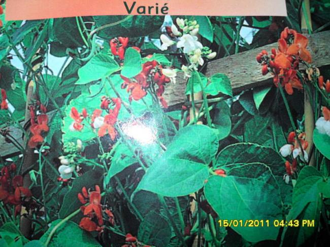 Name:  004.jpg
Views: 983
Size:  68.5 KB