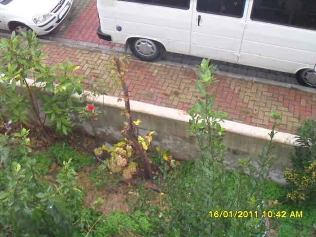 Name:  003.jpg
Views: 932
Size:  58.4 KB