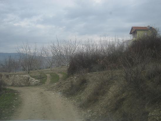 Name:  1.JPG
Views: 1628
Size:  42.7 KB
