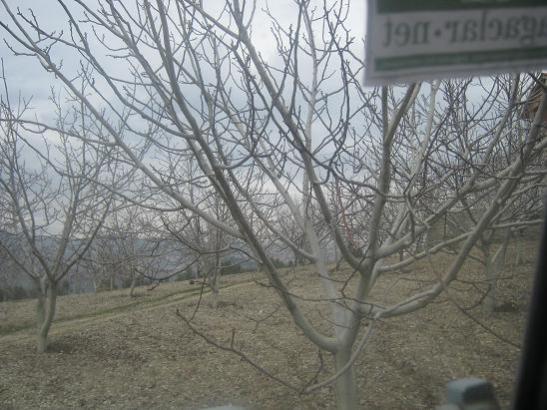 Name:  2.jpg
Views: 1630
Size:  47.7 KB