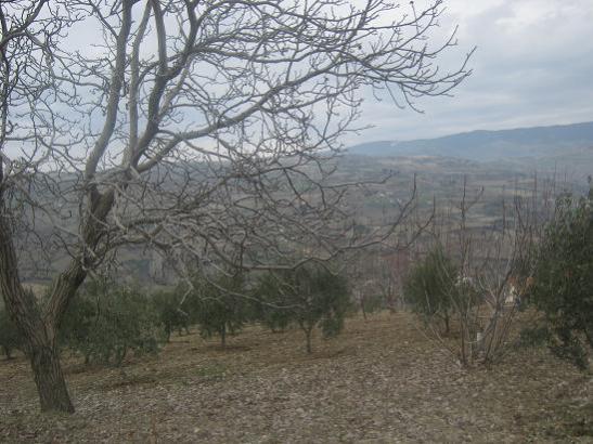 Name:  4.jpg
Views: 1629
Size:  47.4 KB