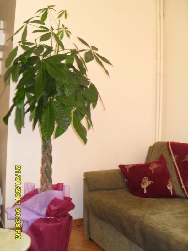 Name:  002.jpg
Views: 875
Size:  45.0 KB