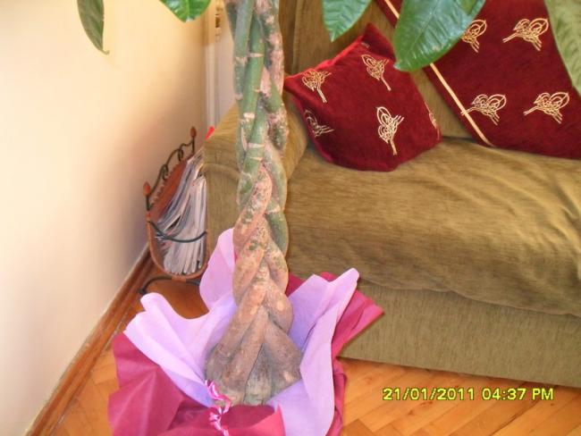Name:  005.jpg
Views: 795
Size:  40.7 KB