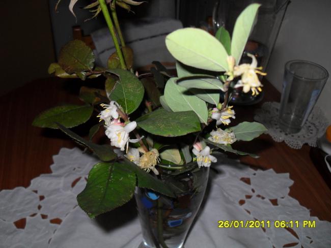Name:  002.jpg
Views: 590
Size:  38.2 KB