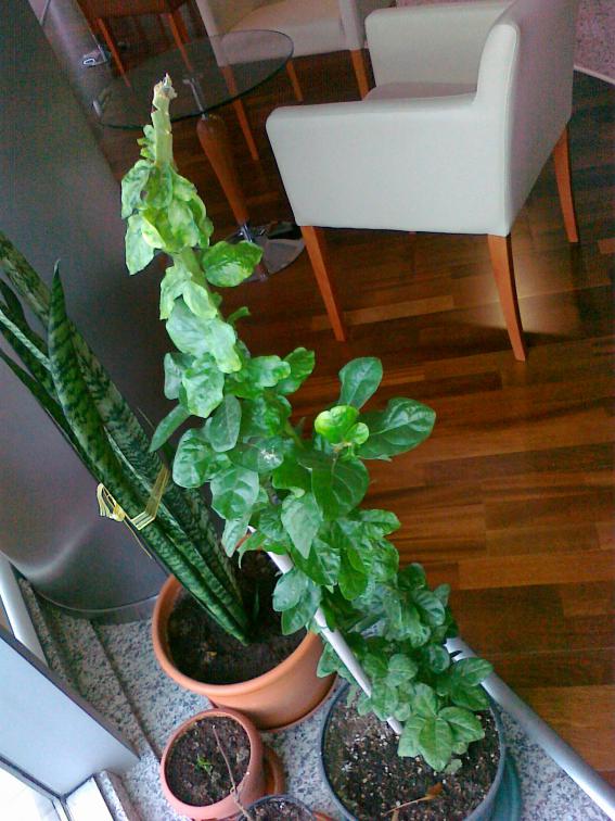 Name:  28012011187.jpg
Views: 529
Size:  72.2 KB
