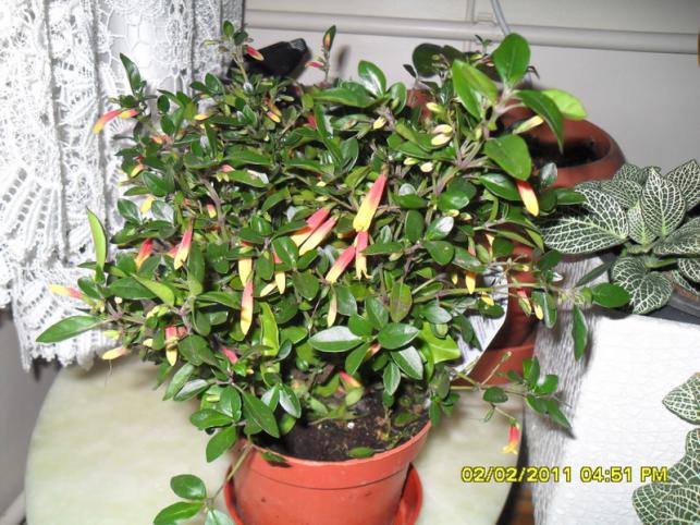Name:  012.jpg
Views: 637
Size:  70.8 KB