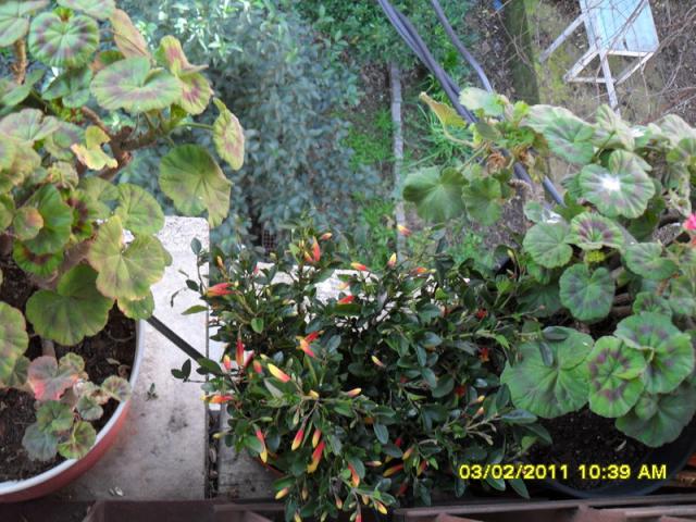 Name:  003.jpg
Views: 504
Size:  69.7 KB