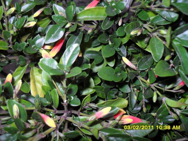Name:  001-1.jpg
Views: 497
Size:  70.0 KB