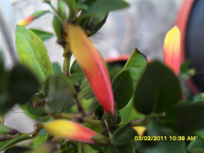 Name:  002.jpg
Views: 504
Size:  30.9 KB