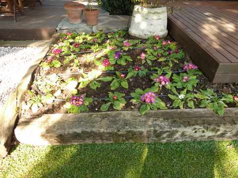 Name:  Bahe 13 ubat 2011 017.JPG
Views: 1099
Size:  49.6 KB