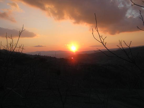 Name:  ubat gnbatm.JPG
Views: 3030
Size:  32.1 KB