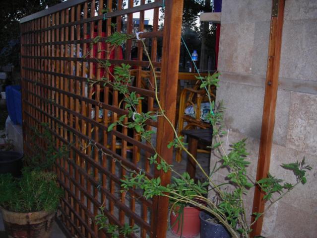 Name:  DSCN4217.jpg
Views: 513
Size:  52.9 KB