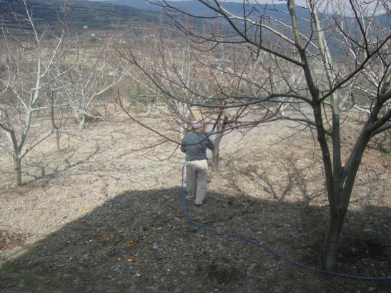 Name:  bordo bulamac 2.jpg
Views: 3646
Size:  51.7 KB