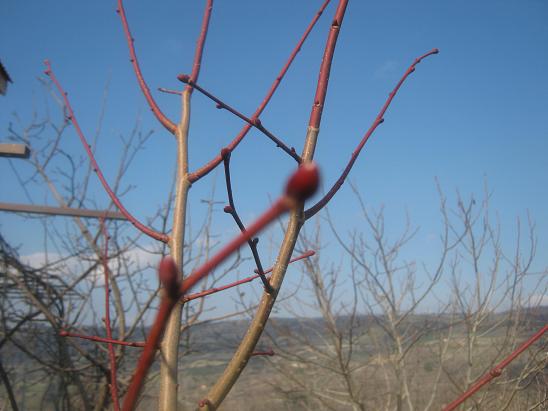 Name:  hlamur iek gz.JPG
Views: 3236
Size:  44.2 KB