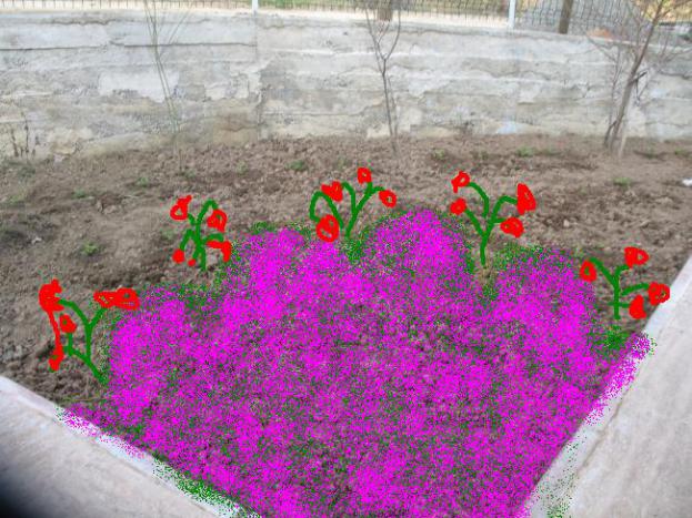 Name:  IMG_0395.jpg
Views: 3864
Size:  70.8 KB